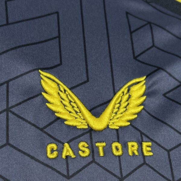 Everton Away Gray Jersey 2024/2025